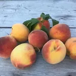דירה Kellerstoeckl Am Veganen Bio-lebenshof 