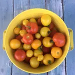 דירה Kellerstoeckl Am Veganen Bio-lebenshof 