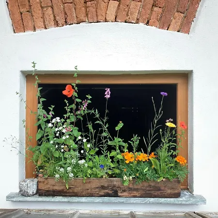 アパート Kellerstoeckl Am Veganen Bio-lebenshof 