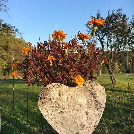 Kellerstöckl Am Veganen Bio-lebenshof Varm - Vegane Farm Apartment Bergla