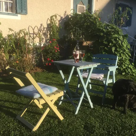 Varm: Vegan Bio-farm For Dog Lovers And Nature Enthusiasts Apartment Sulb