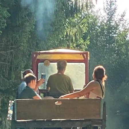 Kellerstöckl Am Veganen Bio-lebenshof Varm - Vegane Farm *