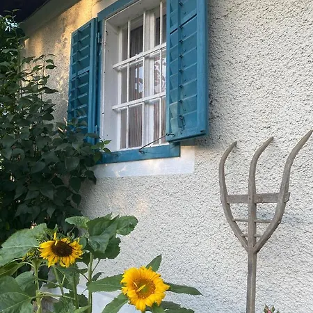 아파트 Kellerstoeckl Am Veganen Bio-lebenshof 