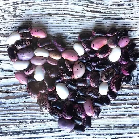 Kellerstoeckl Am Veganen Bio-lebenshof 