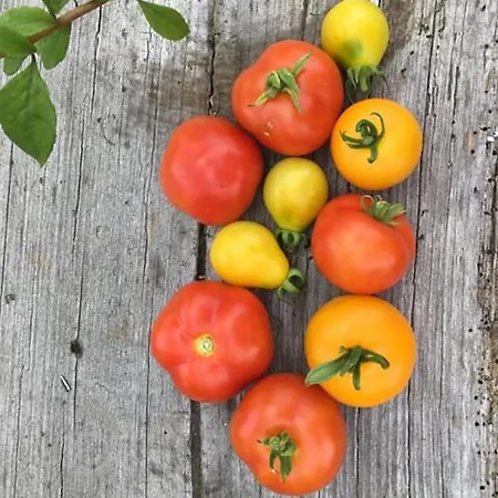 Apartman Kellerstoeckl Am Veganen Bio-lebenshof 