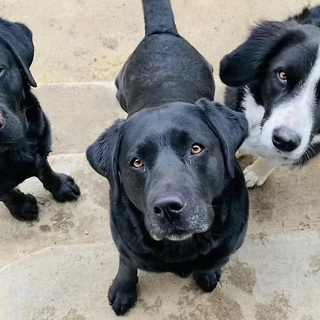 아파트 Kellerstoeckl Am Veganen Bio-lebenshof 