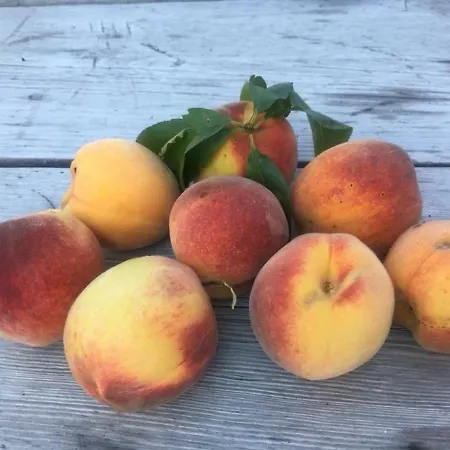 アパート Kellerstoeckl Am Veganen Bio-lebenshof 