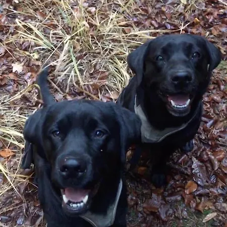 Kellerstoeckl Am Veganen Bio-lebenshof 