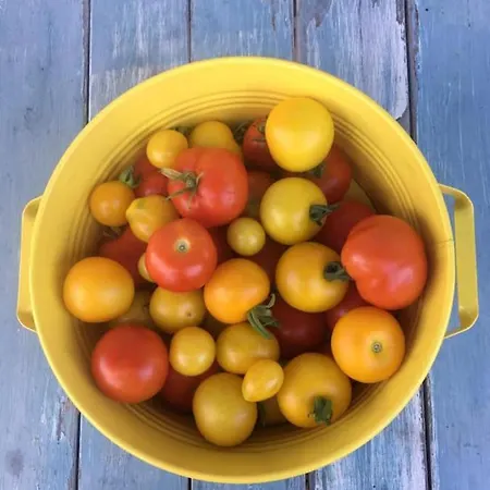 アパート Kellerstoeckl Am Veganen Bio-lebenshof 