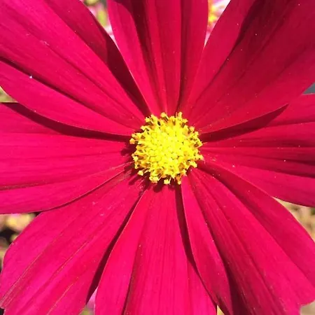 아파트 Kellerstoeckl Am Veganen Bio-lebenshof 