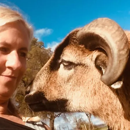 아파트 Kellerstoeckl Am Veganen Bio-lebenshof 