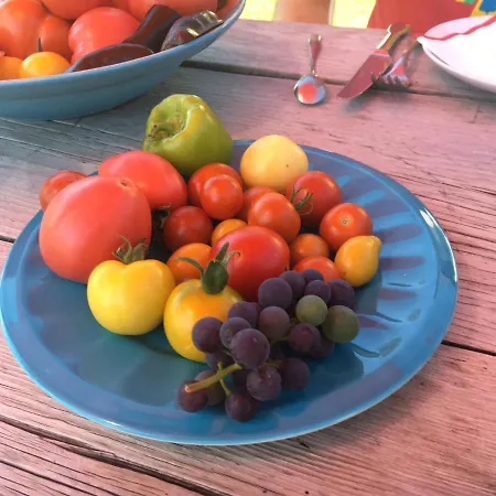 Kellerstoeckl Am Veganen Bio-lebenshof 