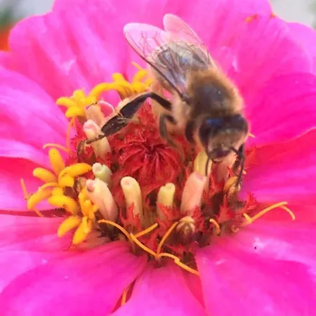 Kellerstoeckl Am Veganen Bio-lebenshof 