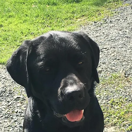 Kellerstoeckl Am Veganen Bio-lebenshof 