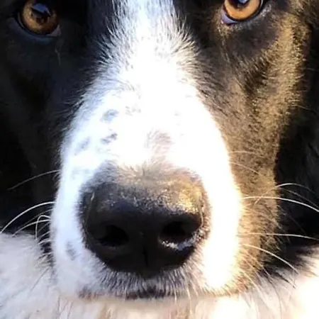 アパート Kellerstoeckl Am Veganen Bio-lebenshof 