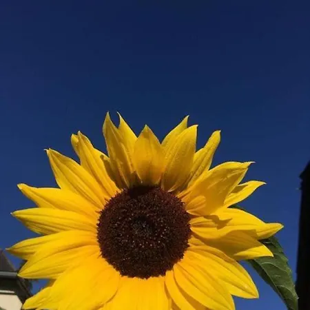 Kellerstoeckl Am Veganen Bio-lebenshof 