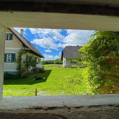 Apartment Varm: Vegan Bio-farm For Dog Lovers And Nature Enthusiasts *