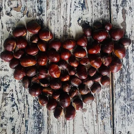 아파트 Kellerstoeckl Am Veganen Bio-lebenshof 