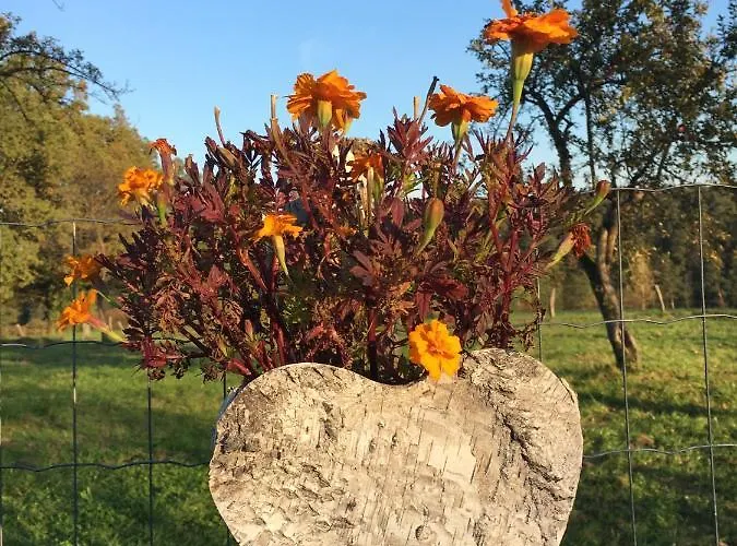 Kellerstöckl Am Veganen Bio-lebenshof Varm - Vegane Farm Apartment Bergla