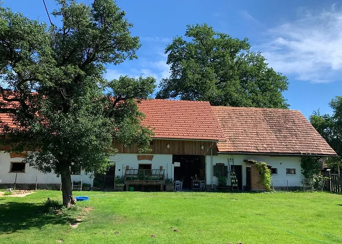 Apartment Kellerstöckl Am Veganen Bio-lebenshof Varm - Vegane Farm Bergla