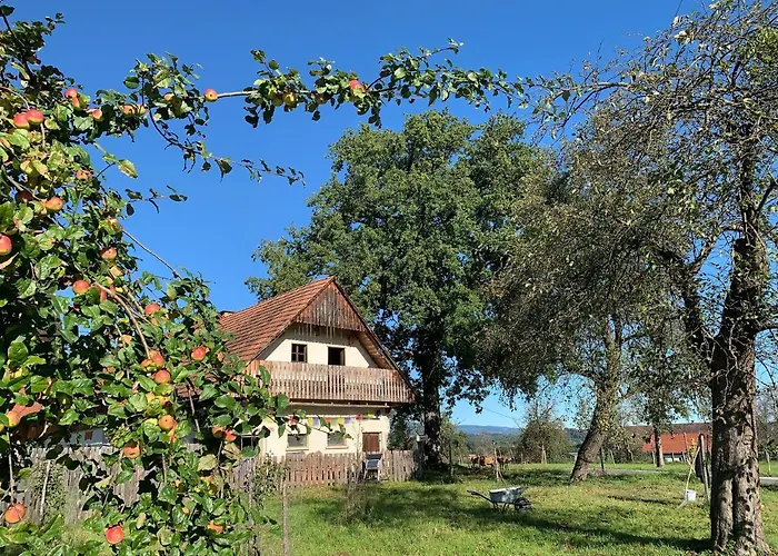 Kellerstöckl Am Veganen Bio-lebenshof Varm - Vegane Farm Apartment