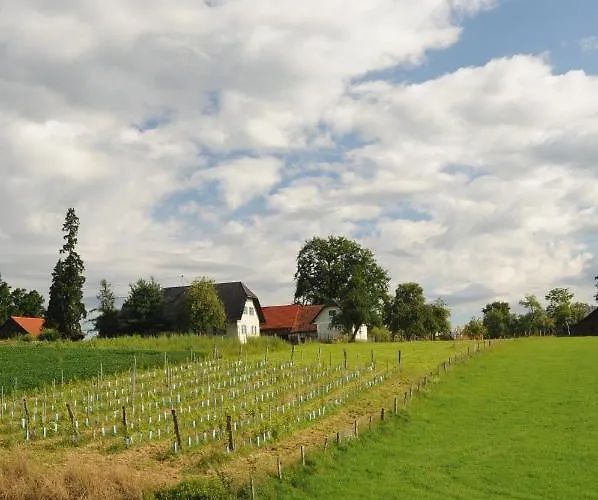 Apartment Kellerstöckl Am Veganen Bio-lebenshof Varm - Vegane Farm Bergla
