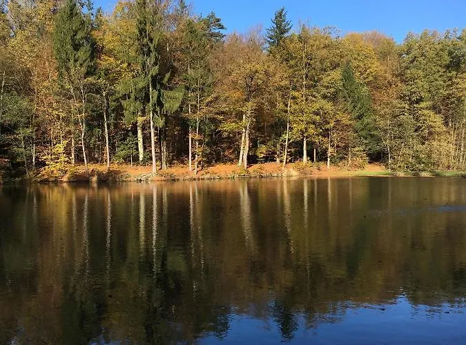Kellerstöckl Am Veganen Bio-lebenshof Varm - Vegane Farm Apartment Bergla