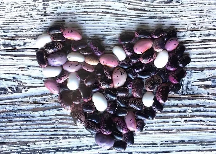 Kellerstoeckl Am Veganen Bio-lebenshof 