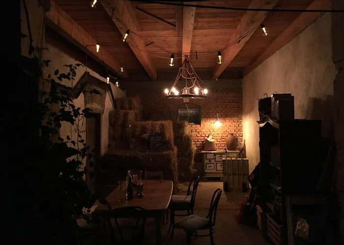 Apartment Varm: Vegan Bio-farm For Dog Lovers And Nature Enthusiasts *