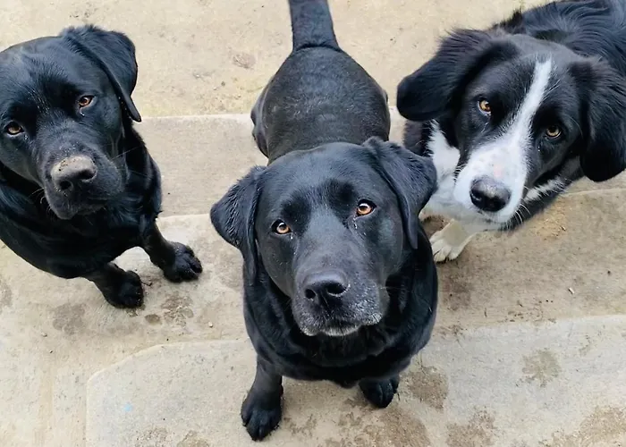 Apartment Kellerstöckl Am Veganen Bio-lebenshof Varm - Vegane Farm *