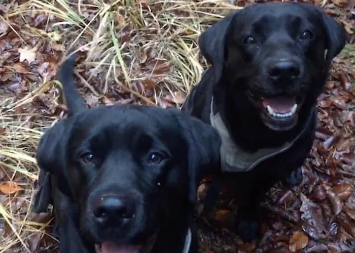 Kellerstöckl Am Veganen Bio-lebenshof Varm - Vegane Farm * Bergla