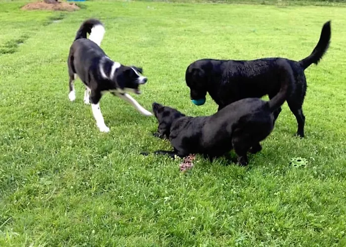 Kellerstöckl Am Veganen Bio-lebenshof Varm - Vegane Farm *
