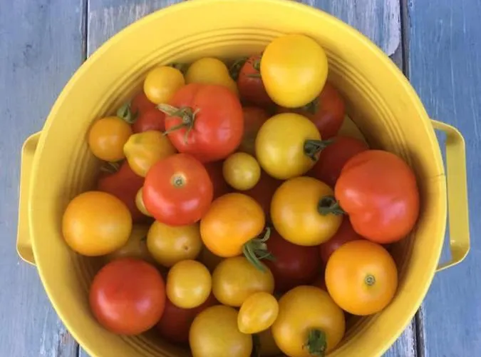 Apartment Kellerstöckl Am Veganen Bio-lebenshof Varm - Vegane Farm Bergla