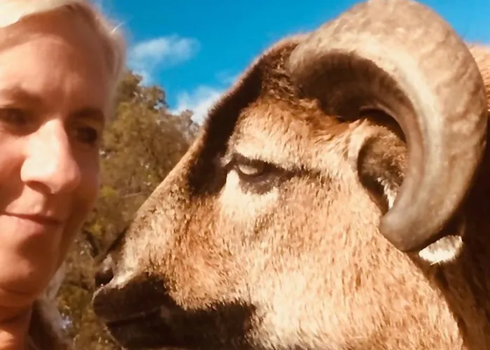 Apartament Kellerstoeckl Am Veganen Bio-lebenshof 