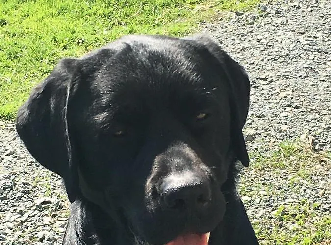 Kellerstöckl Am Veganen Bio-lebenshof Varm - Vegane Farm Bergla