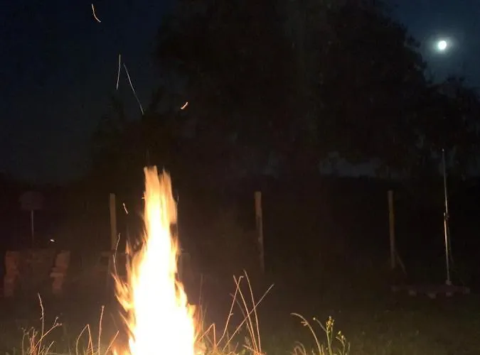 Kellerstöckl Am Veganen Bio-lebenshof Varm - Vegane Farm Apartment Bergla