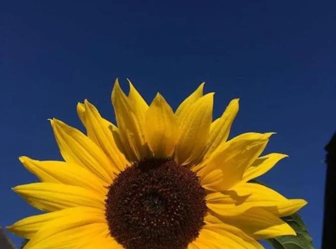 Kellerstoeckl Am Veganen Bio-lebenshof 