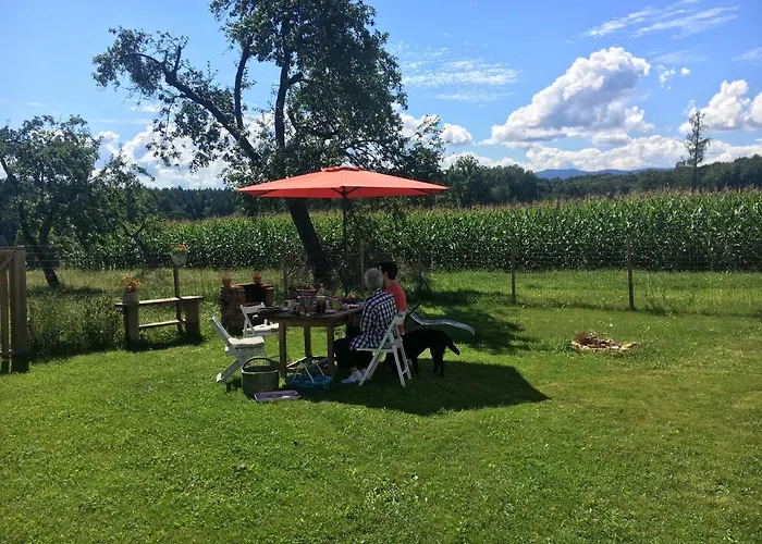 Kellerstöckl Am Veganen Bio-lebenshof Varm - Vegane Farm Apartment Bergla