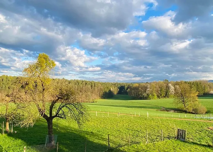 Kellerstöckl Am Veganen Bio-lebenshof Varm - Vegane Farm Apartment Bergla