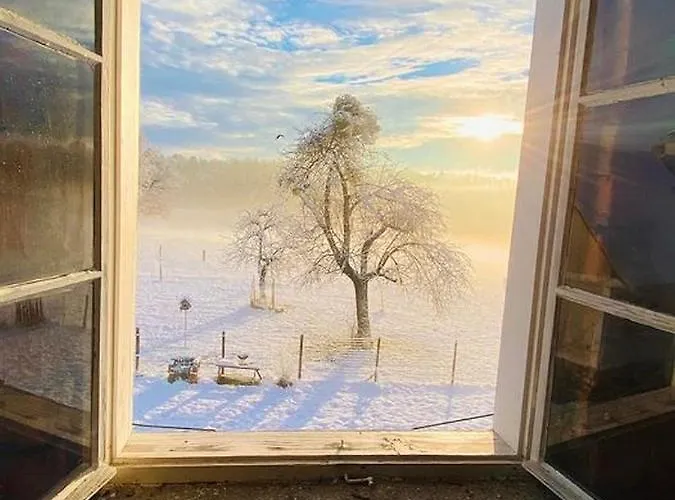 Apartment Kellerstöckl Am Veganen Bio-lebenshof Varm - Vegane Farm